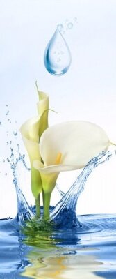 Капля воды - артикул: 27410 Капля воды - артикул: 27410