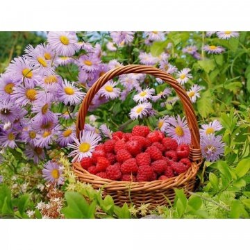 Корзинка с малиной - артикул: 26944 Корзинка с малиной - артикул: 26944
