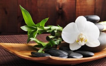 SPA Relax - артикул: 21786 SPA Relax - артикул: 21786