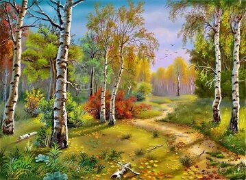 Березовый лес - артикул: 27326 Березовый лес - артикул: 27326