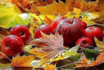 Сочные плоды - артикул: 28086 Сочные плоды - артикул: 28086