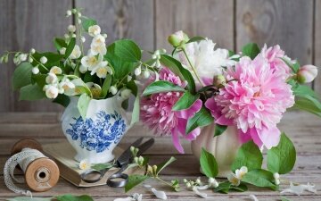 Флористика - артикул: 22507 Флористика - артикул: 22507