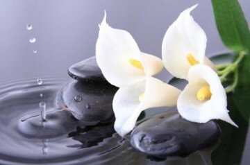 Каллы и камни - артикул: 22597 Каллы и камни - артикул: 22597