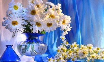 Ромашковое чудо - артикул: 22539 Ромашковое чудо - артикул: 22539