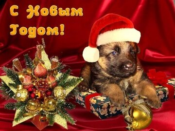 С Новым Годом! - артикул: 27619 С Новым Годом! - артикул: 27619