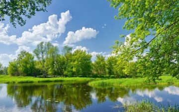 Хороший день - артикул: 28099 Хороший день - артикул: 28099